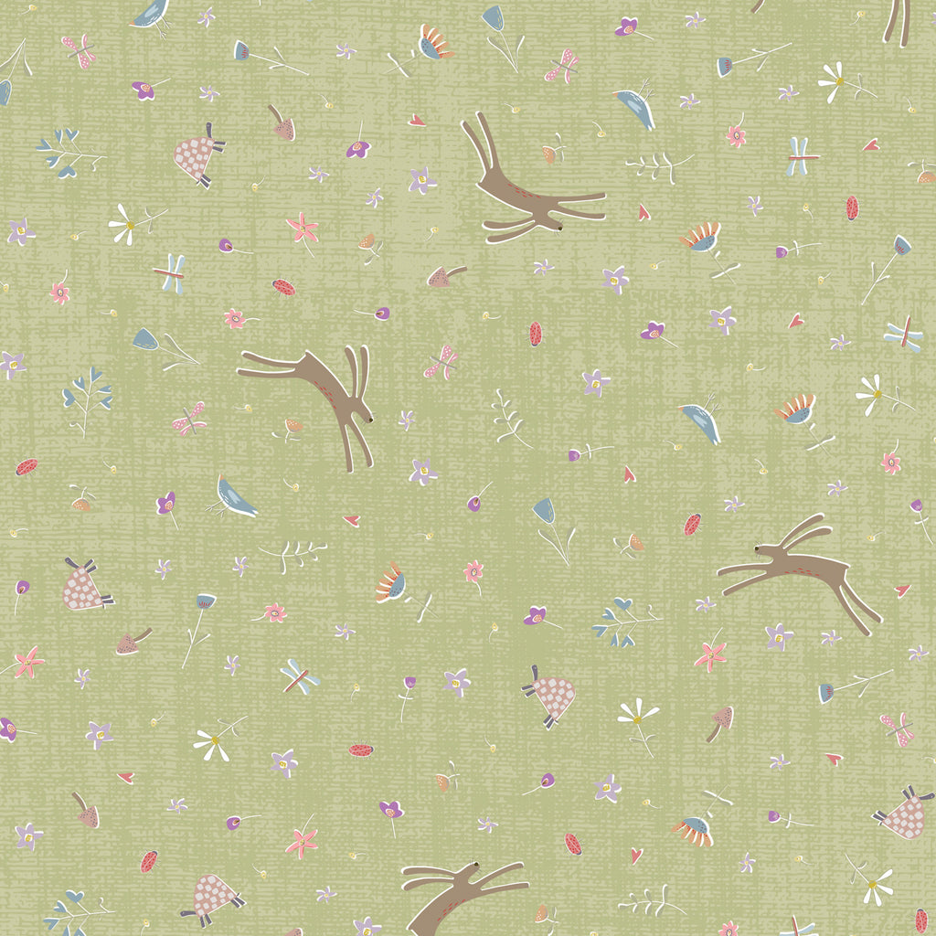 Slow and Steady - DV7427 - Rabbit Toss - Green