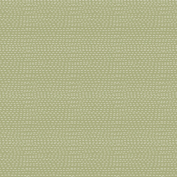 Slow and Steady - DV7438 - Stripes - Green