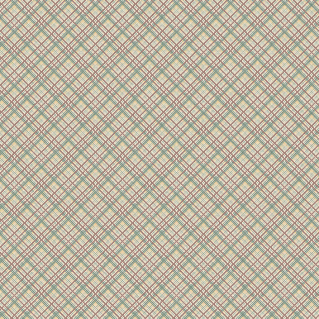Appleby Farm - DV7746 - Check - Brown / Red